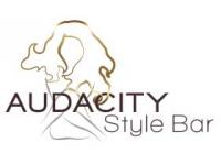 Audacity Style Bar